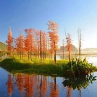 抖音很美的风景图|抖音背景图