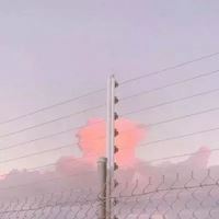 抖音很美的风景图|抖音背景图