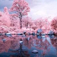 抖音很美的风景图|抖音背景图