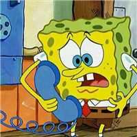 人与动物头像可爱|可爱动物情头卡通