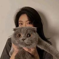 女生抱猫头像高清图片动漫唯美|怀中抱猫的女生头像找个性网
