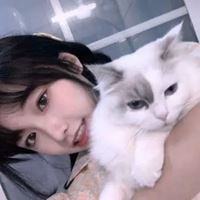 女生抱猫头像高清图片动漫唯美|怀中抱猫的女生头像找个性网