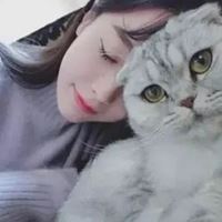 女生抱猫头像高清图片动漫唯美|怀中抱猫的女生头像找个性网