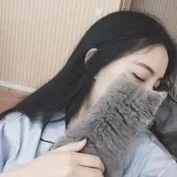 女生抱猫头像高清图片动漫唯美|怀中抱猫的女生头像找个性网