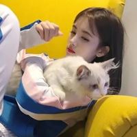 女生抱猫头像高清图片动漫唯美|怀中抱猫的女生头像找个性网