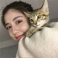 女生抱猫头像高清图片动漫唯美|怀中抱猫的女生头像找个性网