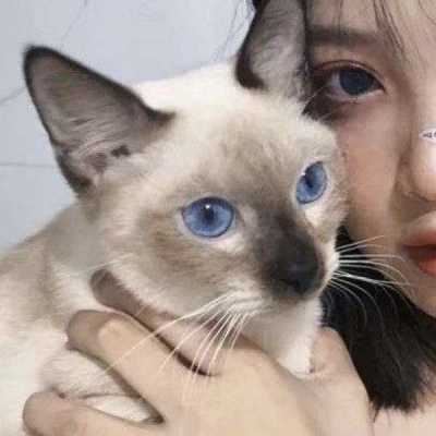 男友不是人系列情头|男友不是人系列情头动漫高清