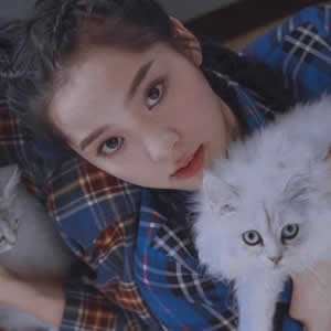 浪漫爱情头像（幸福浪漫的微信头像图片）