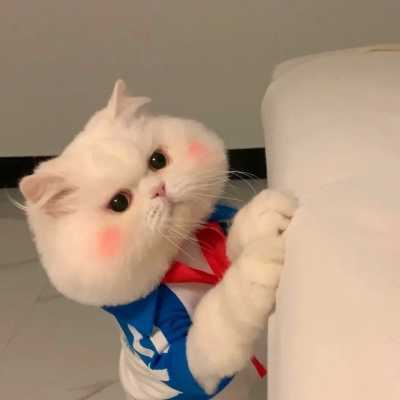 宠物情侣头像_主人和宠物的情侣头像二次元