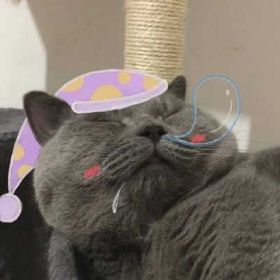 宠物情侣头像_主人和宠物的情侣头像二次元