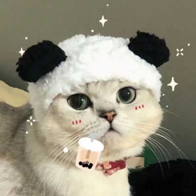 宠物情侣头像_主人和宠物的情侣头像二次元