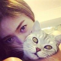 小男孩抱着猫的头像（欧美孩子头像）
