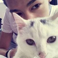 小男孩抱着猫的头像（欧美孩子头像）