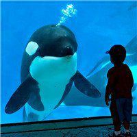 欧美情侣头像一人两张-欧美情侣头像双人