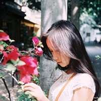 欧美头像玫瑰花图片_好看的欧美头像图片