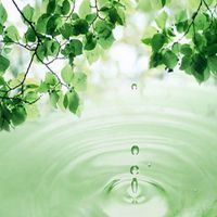 心静如水的气质头像花样（心静如水的气质头像图片）