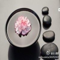 心静如水的气质头像花样（心静如水的气质头像图片）