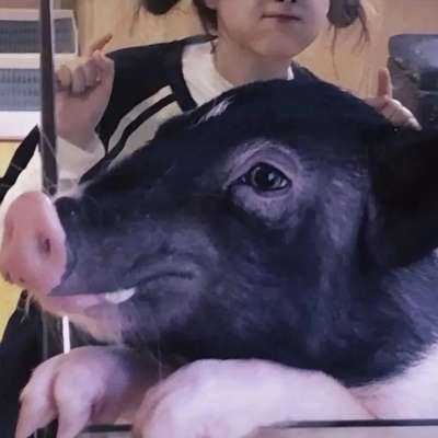 情侣头像配对2022_2022新头像情侣