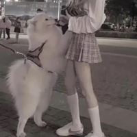 单人女生头像真人校服不露脸-女生头像真人学生装