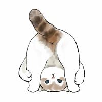 卡通头像猫咪（可爱的卡通图片有小猫咪头像）