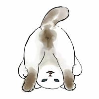 卡通头像猫咪（可爱的卡通图片有小猫咪头像）