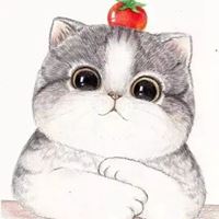 白色背景小图卡通头像_白色猫咪图片大全可爱头像