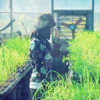 女生头像清新森系（高清头像女生森系仙气）