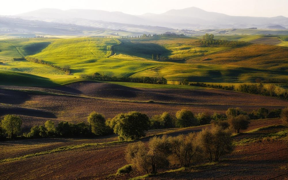 乡村绿色田园风景壁纸大全图片