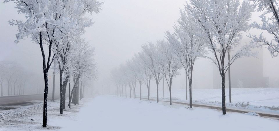冰天雪地的道路风景壁纸图片