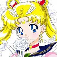 美美女战士出场-美美女战士新年