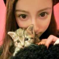 情头抱着猫的头像 男女抱着猫的情侣头像