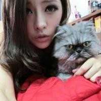 情头抱着猫的头像 男女抱着猫的情侣头像