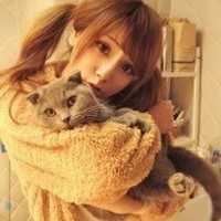 情头抱着猫的头像 男女抱着猫的情侣头像