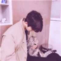 情头抱着猫的头像 男女抱着猫的情侣头像