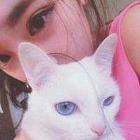 情头抱着猫的头像 男女抱着猫的情侣头像