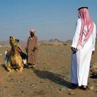 沙特王子头像-沙特阿拉伯人的图片