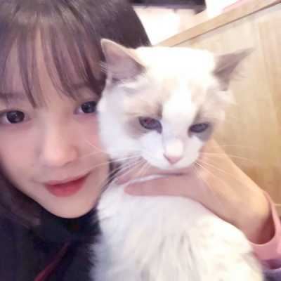 带萌宠的女生头像大全_女生萌宠头像大全可爱
