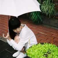 唯美气质小清新女头像（女唯美有气质头像）