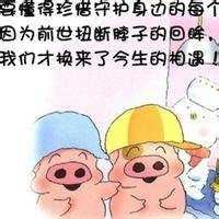 麦兜情侣头像可爱头像 麦兜高清头像