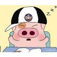 麦兜微信头像图片|麦兜猪图片可爱