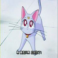 亚提密斯和露娜头像|亚提密斯和露娜头像###美美女战士亚提密斯头像###亚提密斯和露娜情侣头像###露娜亚提密斯头像一对