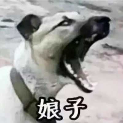 2022搞笑头像图片逗比|可爱头像图片2022最火爆