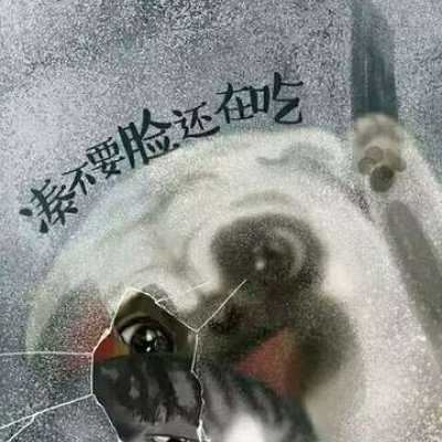 吾皇巴扎黑情头-吾皇巴扎黑情侣头像一对