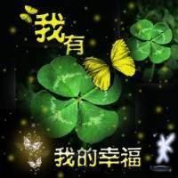 幸运草头像图片-2021幸运草幸运图片头像