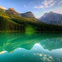 幸运草头像图片-2021幸运草幸运图片头像