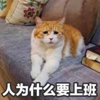 微信头像女文字控|微信头像语言文字