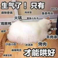 微信头像女文字控|微信头像语言文字