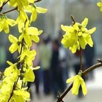 今年微信头像 新年头像微信头像