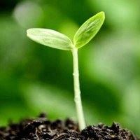 今年微信头像 新年头像微信头像