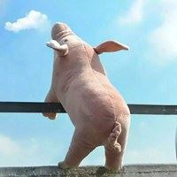 正经又不正经的头像-不正经头像女